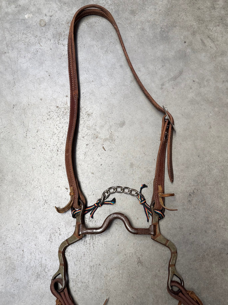 Load image into Gallery viewer, Used Slit Ear Headstall, W.J. Swerczek Bit, Cowperson Tack Weighted End Split Reins
