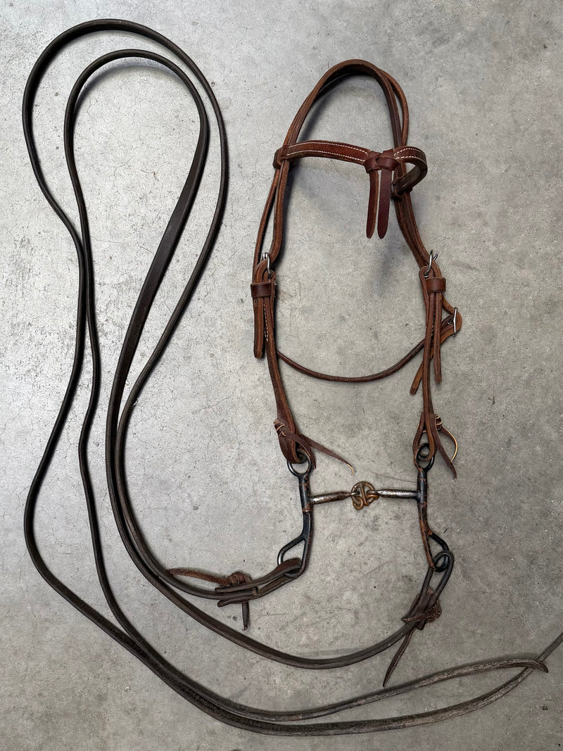 Load image into Gallery viewer, Used Bridle Set - Herschberger Futurity Browband, Short Shank Lifesaver Bit, Split Reins
