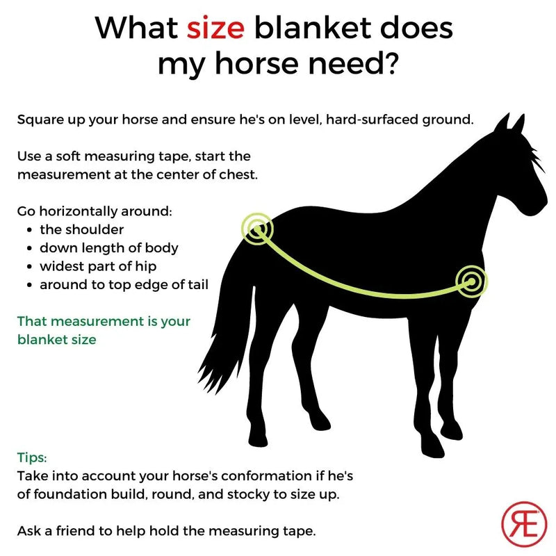 Load image into Gallery viewer, Reinsman Breathable Mesh Fly Sheet
