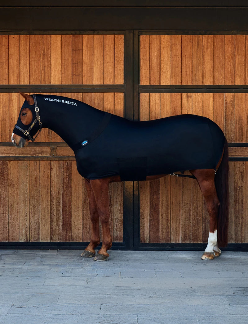 Load image into Gallery viewer, WeatherBeeta Full Body Stretch Rug

