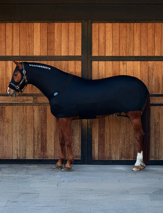 WeatherBeeta Full Body Stretch Rug