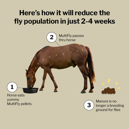 Formula 707 MultiFly Feed-Thru Fly Control - Pellets