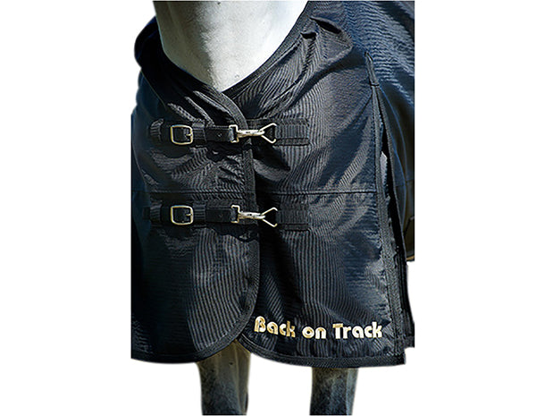 Load image into Gallery viewer, Back On Track Therapeutic Equine Turnout Sheet - Black

