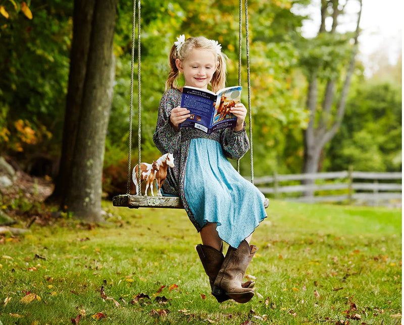 Load image into Gallery viewer, Breyer Misty &amp; Stormy Book Set
