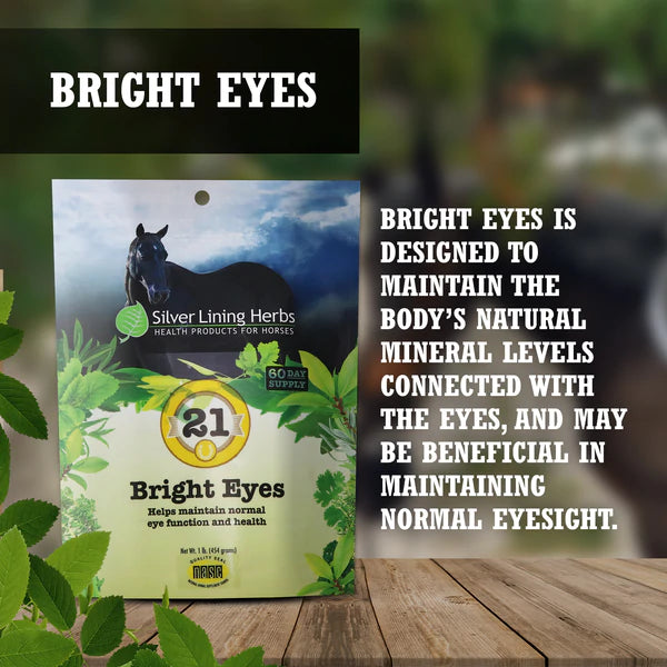 Load image into Gallery viewer, Silver Lining Bright Eyes for Horses - 1 LB
