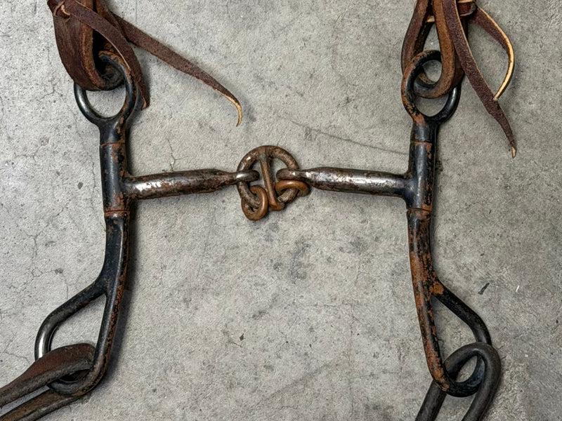Load image into Gallery viewer, Used Bridle Set - Herschberger Futurity Browband, Short Shank Lifesaver Bit, Split Reins
