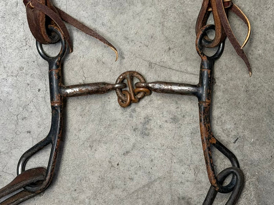 Used Bridle Set - Herschberger Futurity Browband, Short Shank Lifesaver Bit, Split Reins