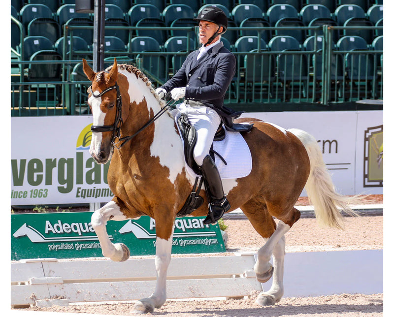 Load image into Gallery viewer, Breyer Adiah HP
