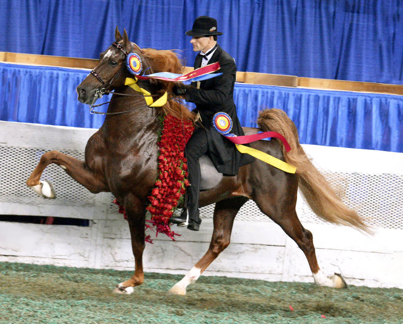 Load image into Gallery viewer, Breyer Marc of Charm Horse
