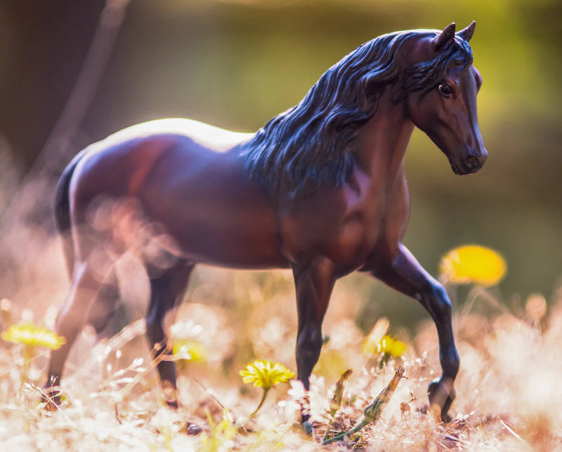Load image into Gallery viewer, Breyer Vivaldi de Besilu
