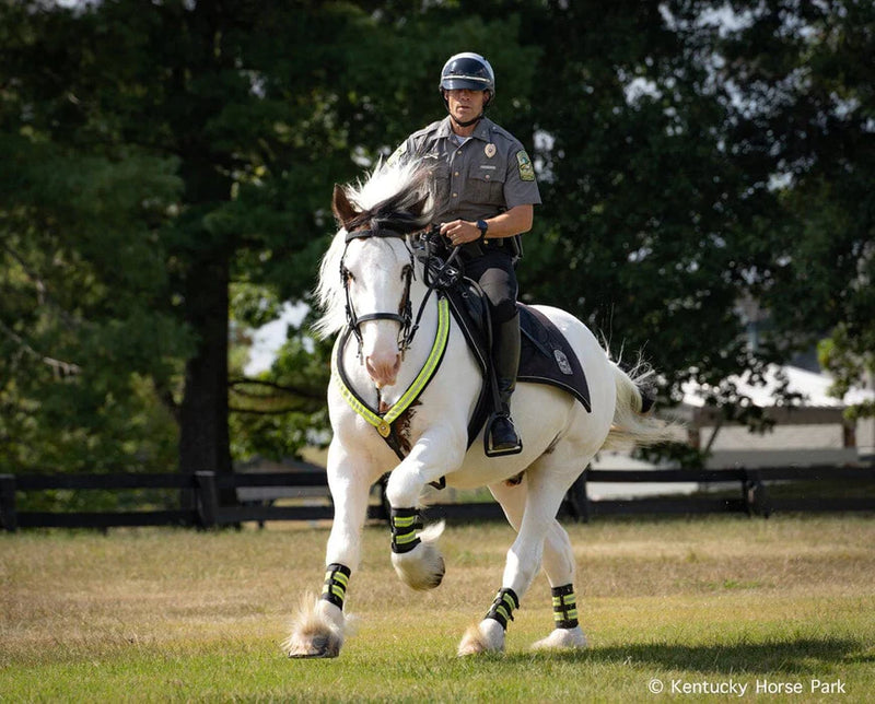 Load image into Gallery viewer, Breyer Hytyme Legend - KHP Mounted Police Horse
