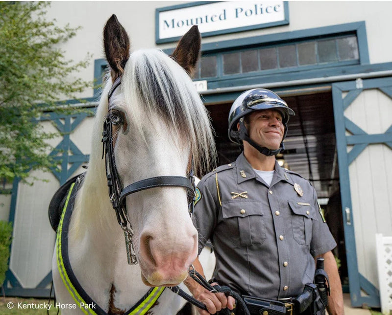 Load image into Gallery viewer, Breyer Hytyme Legend - KHP Mounted Police Horse
