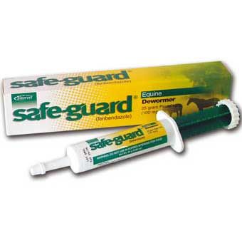 Safe-Guard Paste 10% Equine Wormer 25 Gm