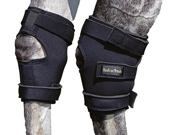 Load image into Gallery viewer, Back On Track Therapeutic Equine Hock Boot - Black
