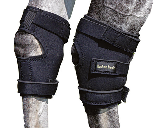 Back On Track Therapeutic Equine Hock Boot - Black
