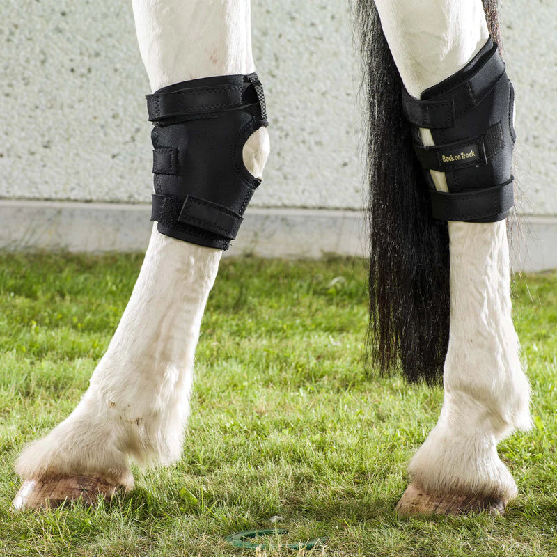 Load image into Gallery viewer, Back On Track Therapeutic Equine Hock Boot - Black
