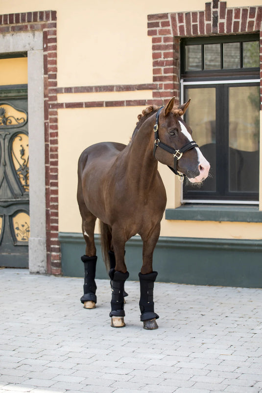 Back on Track Equine Royal Quick Wraps Deluxe