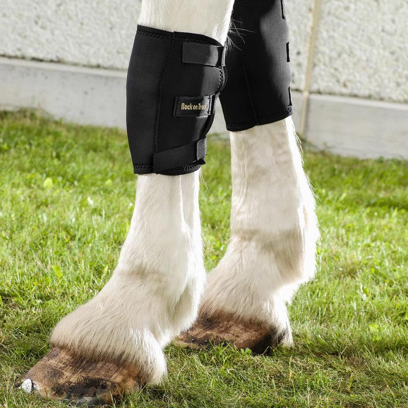 Load image into Gallery viewer, Back On Track Therapeutic Equine Knee Boot - Black
