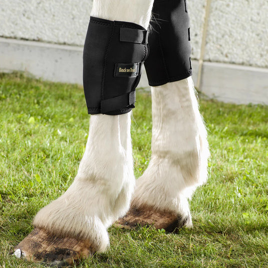 Back On Track Therapeutic Equine Knee Boot - Black