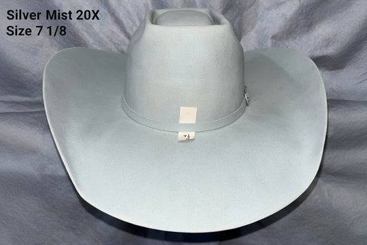 Consign-BM-20X-6.1
