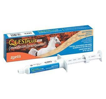 Quest Plus Equine Oral Gel Wormer .5 Oz