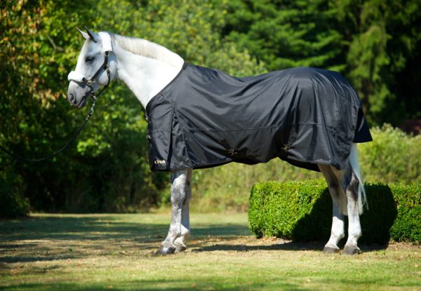 Load image into Gallery viewer, Back On Track Therapeutic Equine Turnout Sheet - Black
