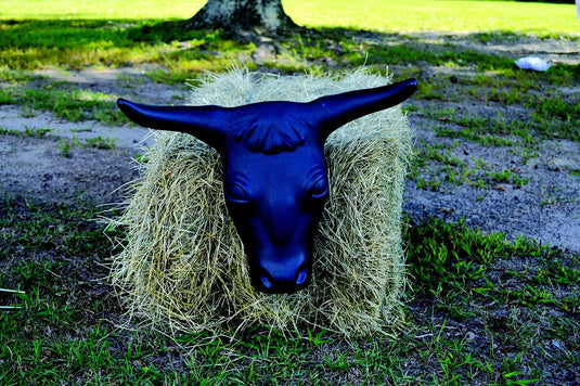 Steer Head with Spikes