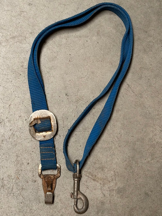 Used Nylon Tie Down Strap - Blue