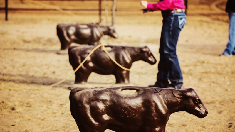 Load image into Gallery viewer, Tuf Kaf GTS Roping Dummy
