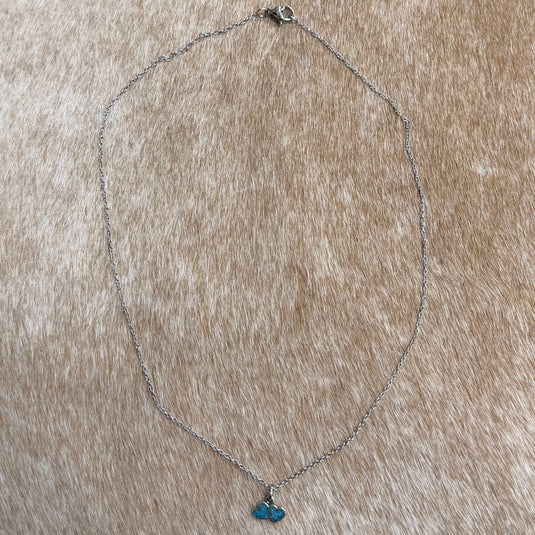 Rocky Mountain Jewelry Stainless Steel Chain Turquoise Double Heart Necklace