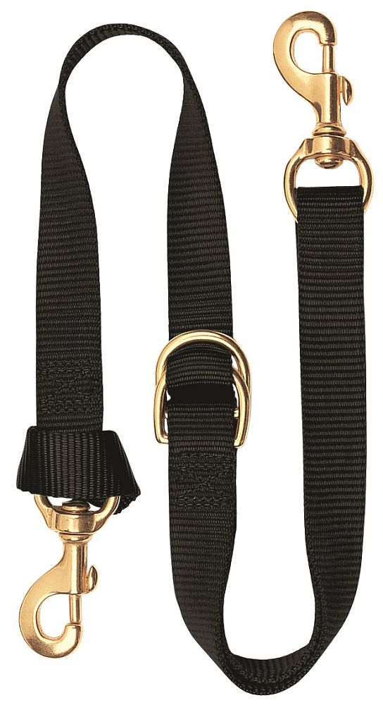 Load image into Gallery viewer, Weaver Deluxe Nylon Tie Down Strap - 1"
