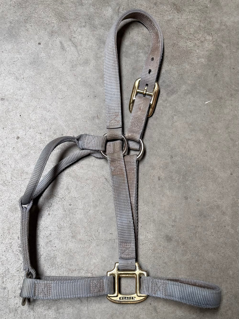 Load image into Gallery viewer, Used Weaver Nylon Halter - Silver
