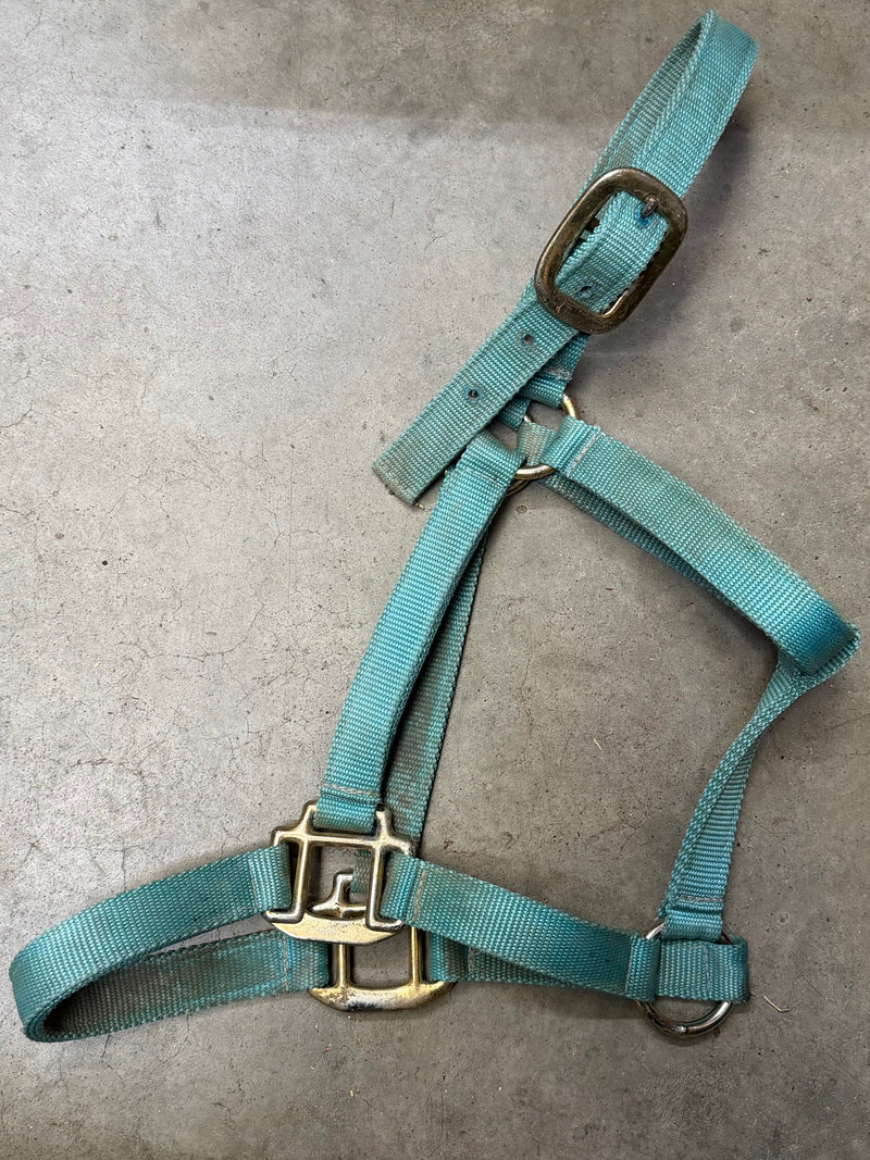 Load image into Gallery viewer, Used Nylon Halter - Turquoise - Avg
