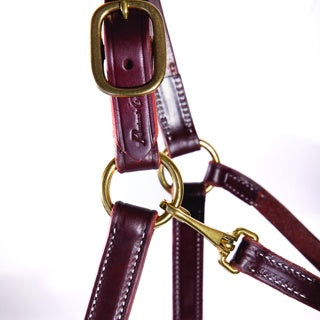 Load image into Gallery viewer, Professional's Choice Turn Out Halter
