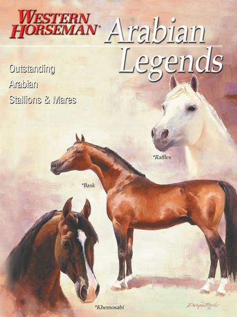 Western Horseman Arabian Legends