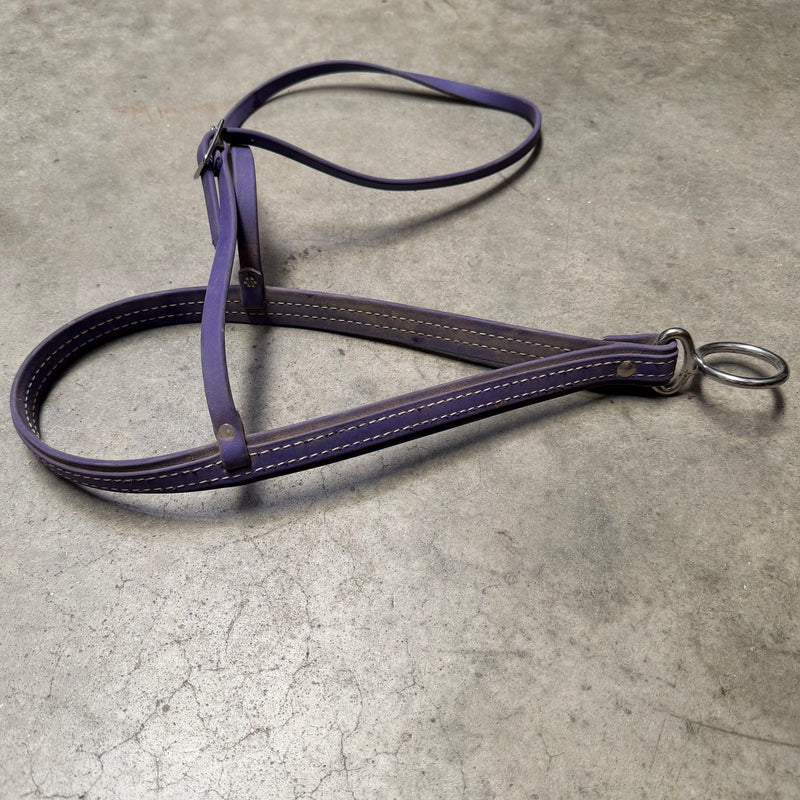 Load image into Gallery viewer, Used Biothane Noseband - Purple
