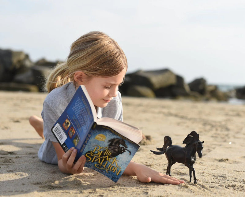 Load image into Gallery viewer, Breyer The Black Stallion Horse &amp; Book Set
