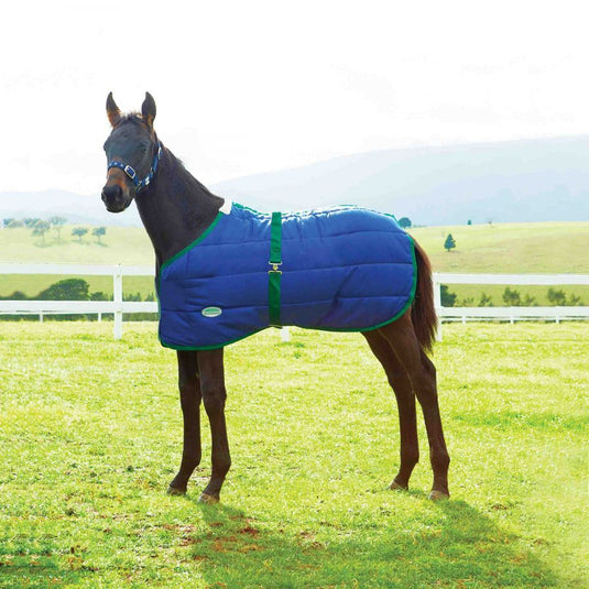 Weatherbeeta Foal Standard Blanket 180g