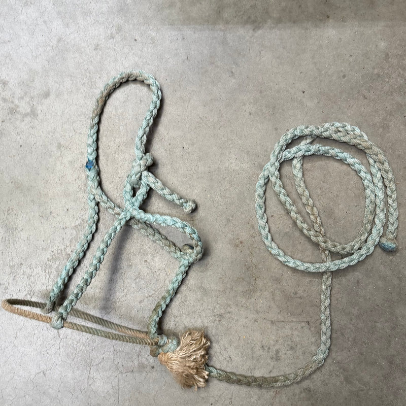 Load image into Gallery viewer, Used Rope Nose Braided Halter &amp; Lead - Light Blue
