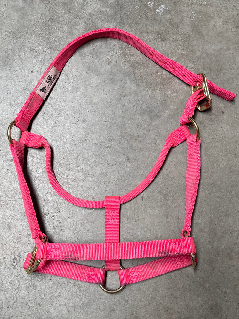 Load image into Gallery viewer, Used/New Weaver Nylon Halter - Hot Pink
