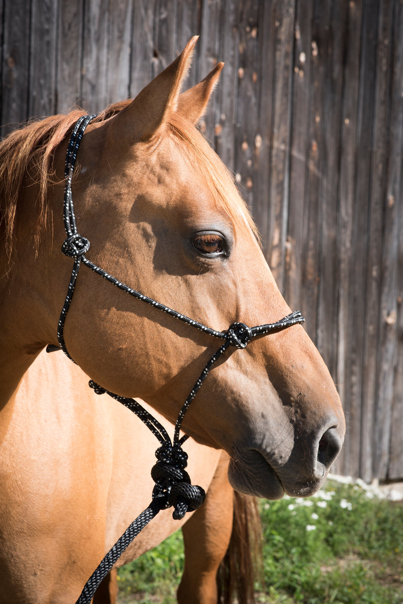 Load image into Gallery viewer, Partrade Equi-Sky Mountain Rope Halter with 7' Lead
