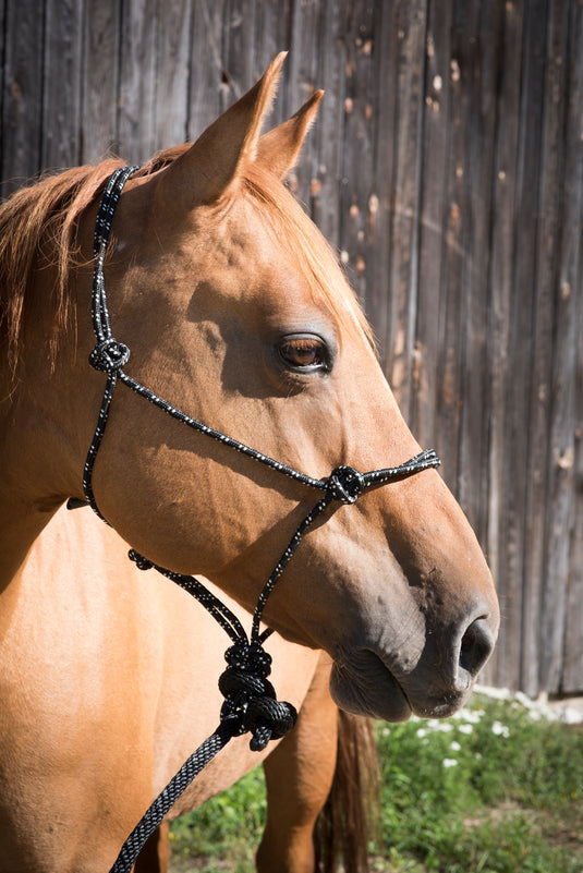 Partrade Equi-Sky Mountain Rope Halter with 7' Lead