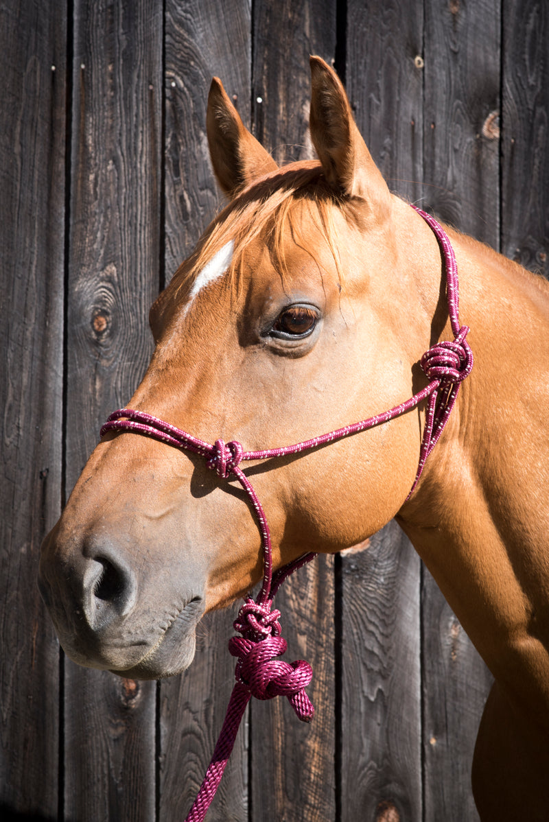 Load image into Gallery viewer, Partrade Equi-Sky Mountain Rope Halter with 7' Lead
