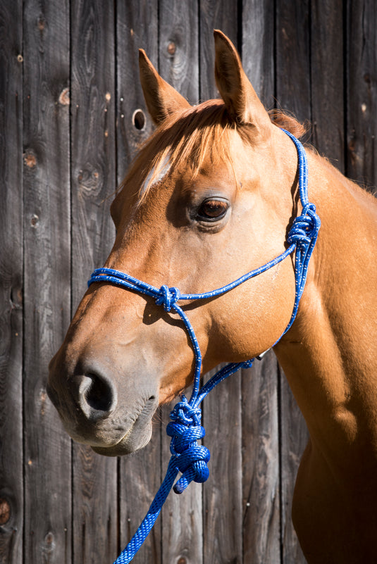 Partrade Equi-Sky Mountain Rope Halter with 7' Lead
