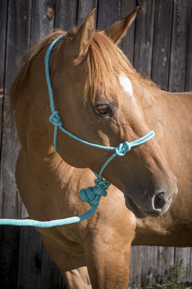 Load image into Gallery viewer, Partrade Equi-Sky Mountain Rope Halter with 7' Lead
