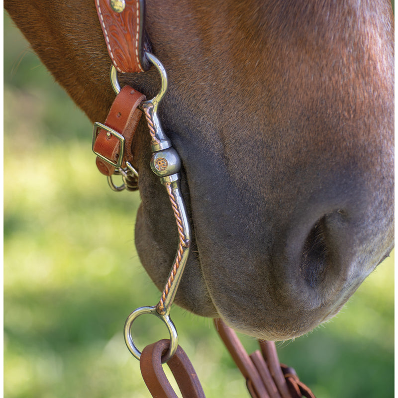 Load image into Gallery viewer, Reinsman D &amp; L Reiner Twisted 3-Piece with Copper Roller Bit
