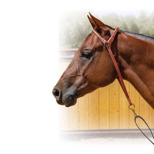 Professional's Choice Harness Leather War Bonnet