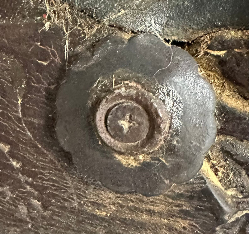 Load image into Gallery viewer, Used Old Style No Name Saddle 14.5"
