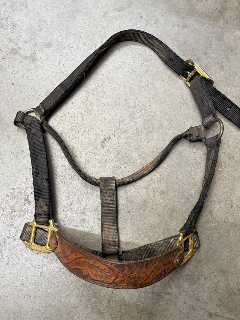 Load image into Gallery viewer, Used Nylon Halter w/ Leather Tooled Nose - Black - Avg
