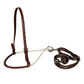Professional's Choice Pony Tie Down Set